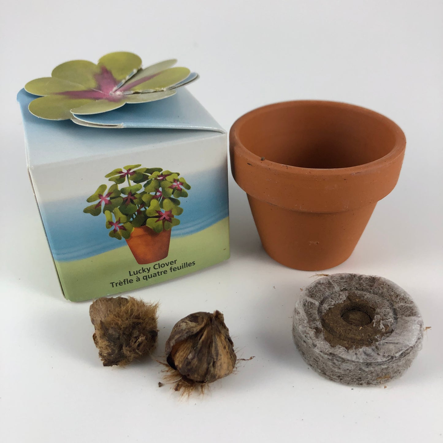 Vue de l'emballage pour le jardin d'amitié de trèfle à quatre feuilles et son contenu