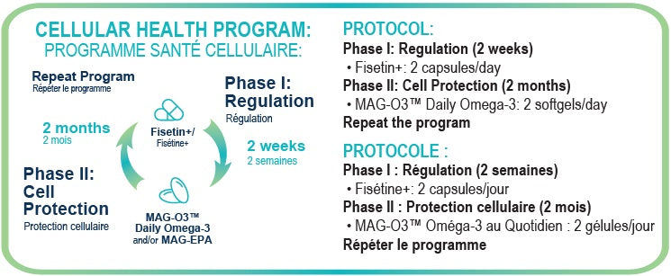 PROPRIÉTÉS DE FISÉTINE + RÉGULATION CELLULAIRE DE MARQUE EB SUPPLEMENTS
