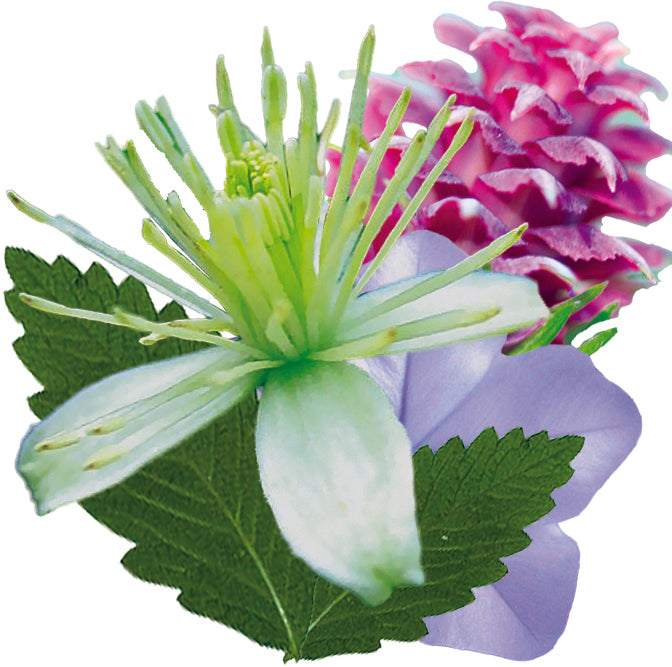 fleurs inclues dans le complexe inspiration et créativité - remède d'essence de fleurs