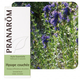 emballage de la bouteille d'huile essentielle Hysope couchée avec le plant en fleur