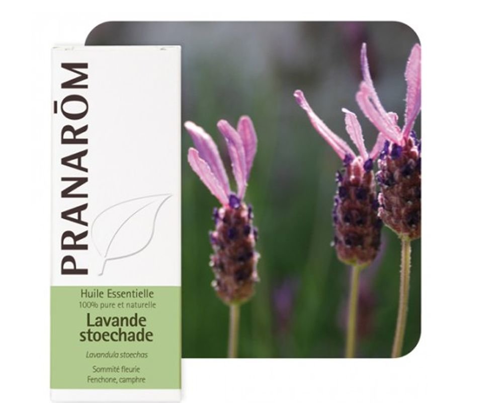 emballage de la bouteille d'huile essentielle Lavande stoechade avec fleurs