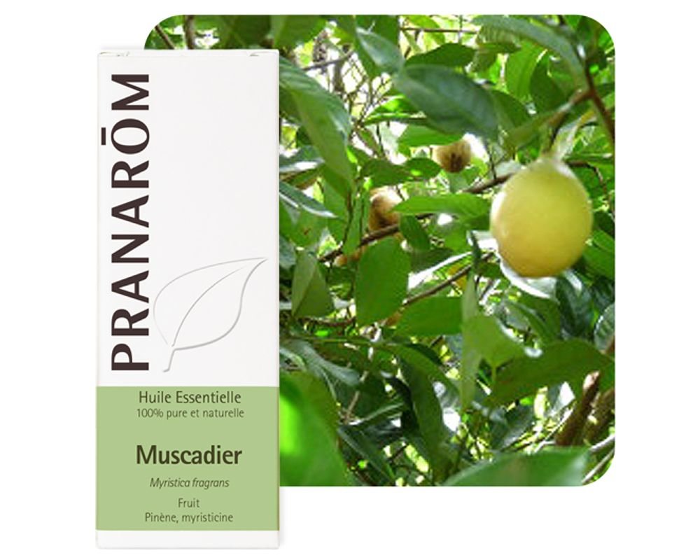 emballage de la bouteille d'huile essentielle Muscadier et plant en feuilles avec fruits