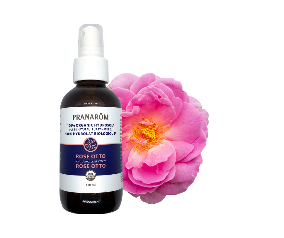 Rose Otto – Hydrolat - BIO