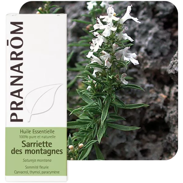 emballage de la bouteille d'huile essentielle Sarriette des montagnes avec plant en fleurs