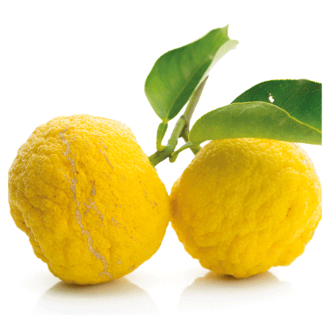 fruits de Yuzu