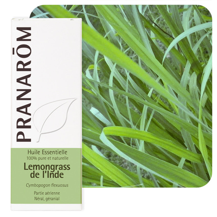 emballage de la bouteille d'huile essentielle Lemongrass de l’Inde - BIO avec un plant