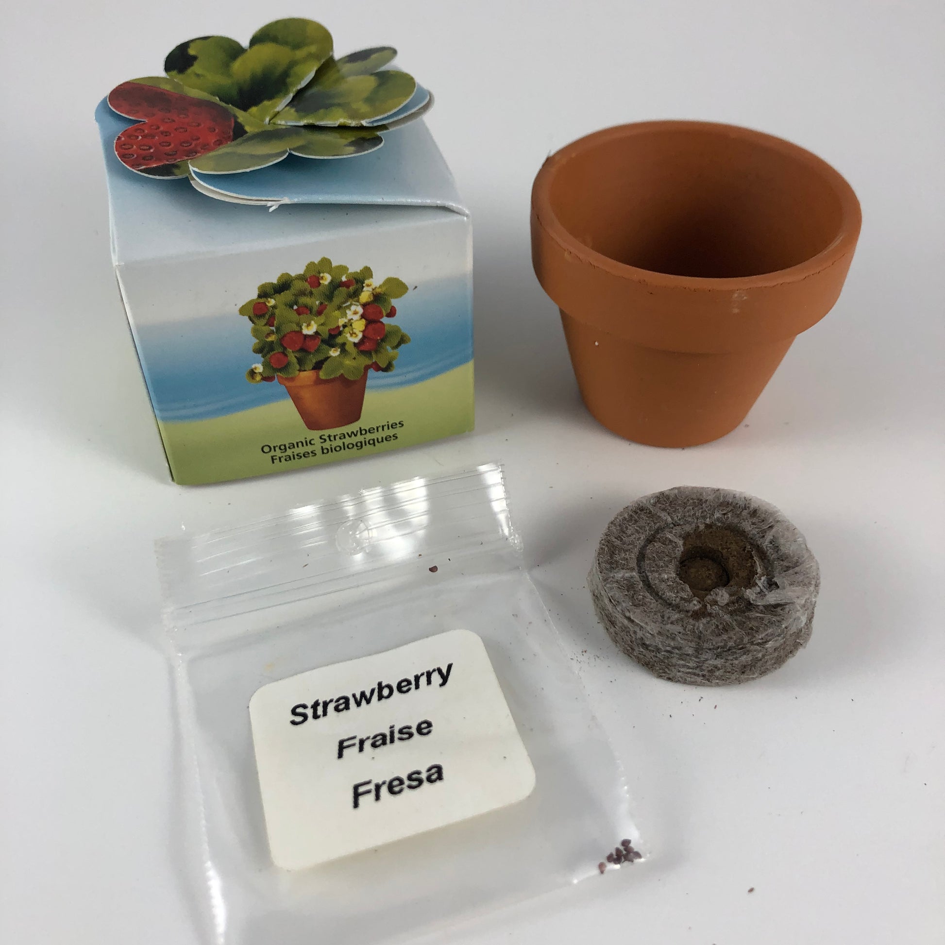 Vue de l'emballage pour le jardin d'amitié de fraises bio et son contenu