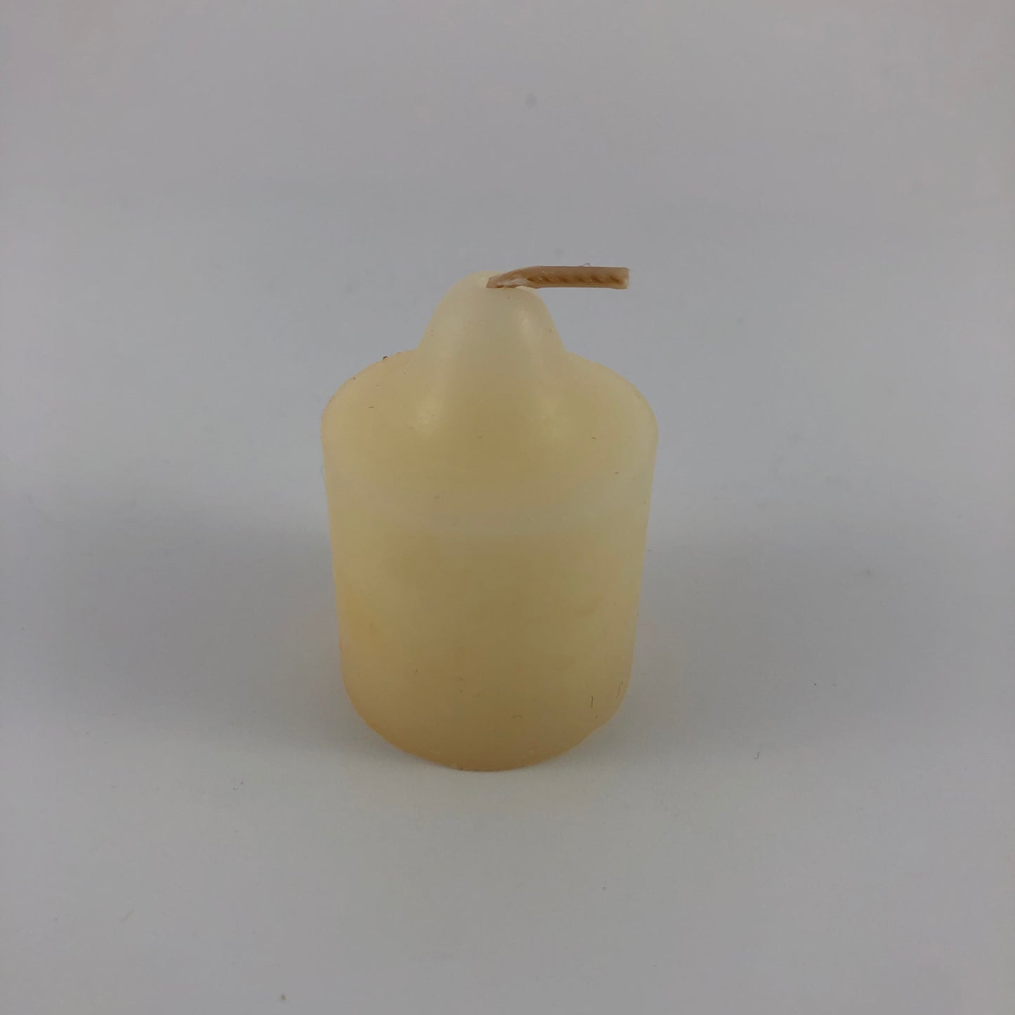 V06109 - LAMPIONS - Fleur de sureau