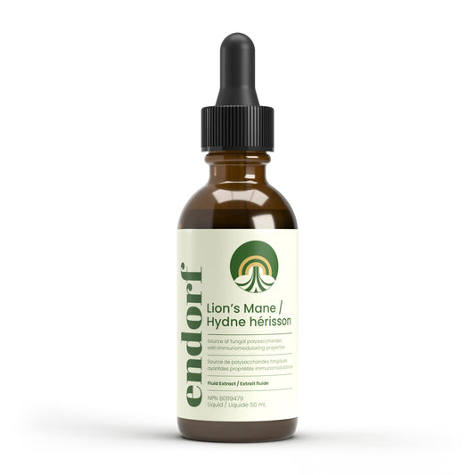 BOUTEILLE DU LION'S MANE - HYDNE HÉRISSON