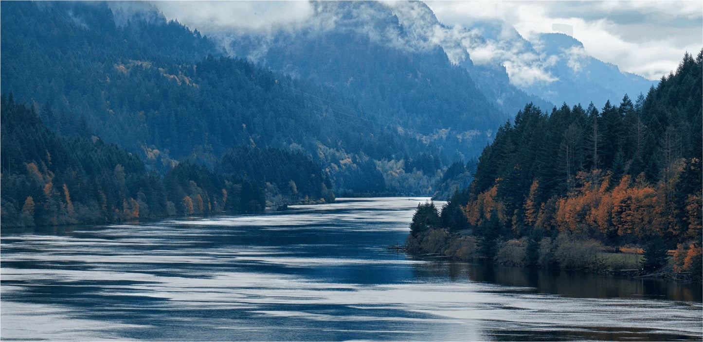 PAYSAGE D'UNE RIVIÈRE ENTOURÉ D'UNE FORÊT ET UNE CHAÎNE DE MONTAGNES DANS LE FOND POUR L'INSPIRATION DE EB SUPPLEMENTS