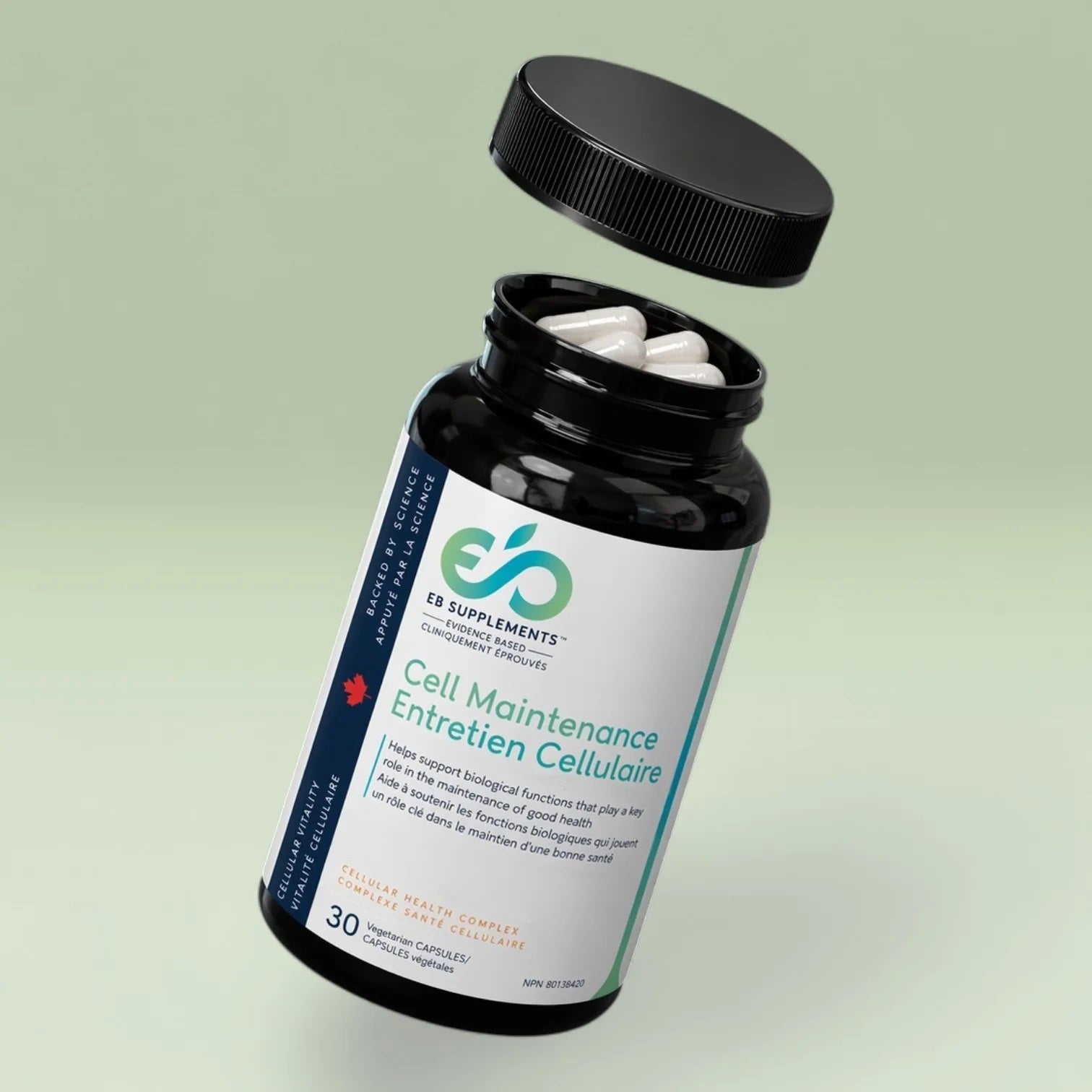 POT D'ENTRETIEN CELLULAIRE DE MARQUE EB SUPPLEMENTS OUVERT