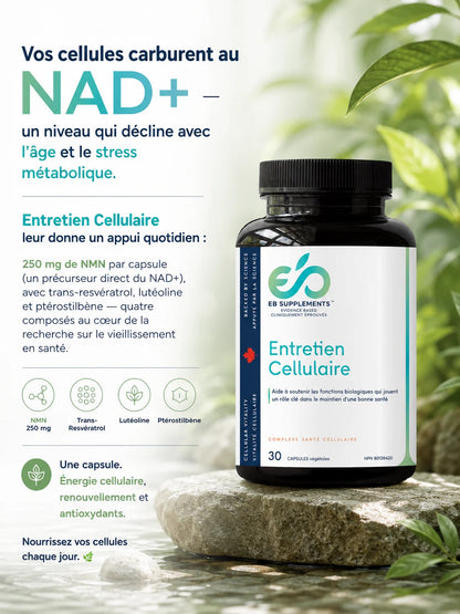 PROPRIÉTÉS ET POT D'ENTRETIEN CELLULAIRE DE MARQUE EB SUPPLEMENTS