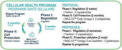 PROPRIÉTÉS DE FISÉTINE + RÉGULATION CELLULAIRE DE MARQUE EB SUPPLEMENTS