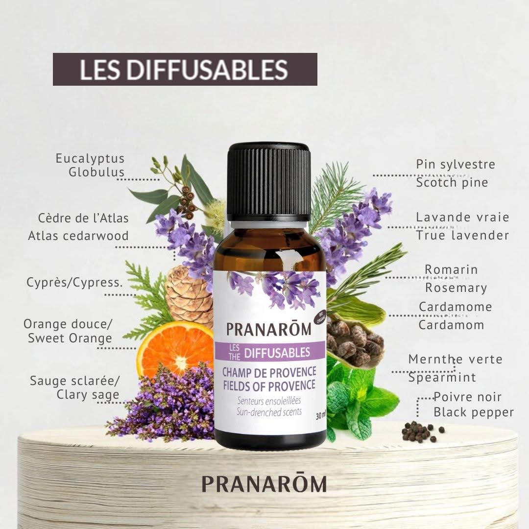 MÉLANGE D'HUILES ESSENTIELLES LES DIFFUSABLES FRAGRANCE CHAMP DE PROVENCE - LAVANDE DE MARQUE PRANAROM ET SA COMPOSITION