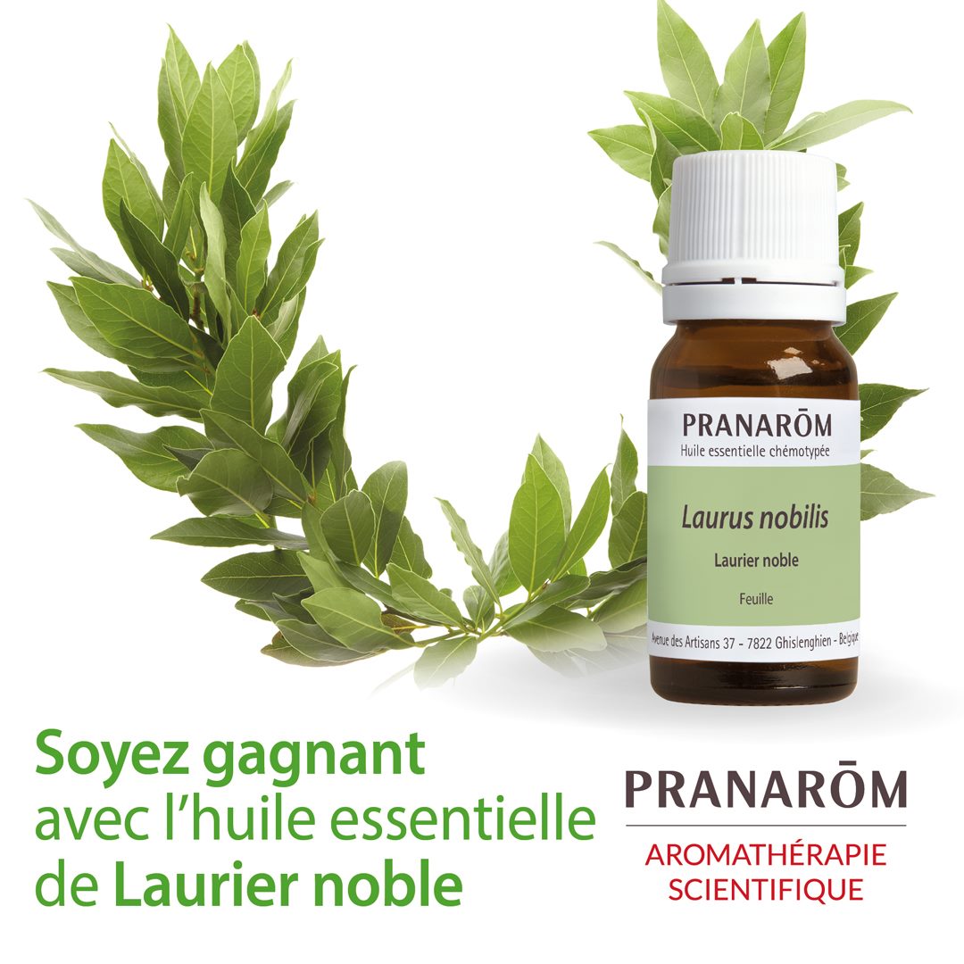 BOUTEILLE D'HUILE ESSENTIELLE DE LAURIER NOBLE DE MARQUE PRANAROM AVEC UNE COURONNE DE FEUILLES DE LAURIER