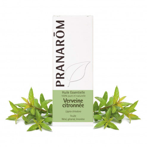 EMBALLAGE D'HUILE ESSENTIELLE DE VERVEINE CITRONNÉE DE MARQUE PRANAROM AVEC UN MORCEAU DE BRANCHE DE LA PLANTE
