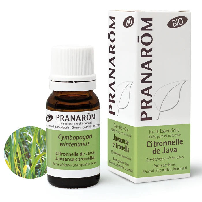 BOUTEILLE D'HUILE ESSENTIELLE DE CITRONNELLE DE JAVA DE MARQUE PRANAROM AVEC SON EMBALLAGE ET IMAGE DE LA PLANTE