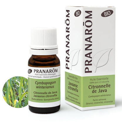 BOUTEILLE D'HUILE ESSENTIELLE DE CITRONNELLE DE JAVA DE MARQUE PRANAROM AVEC SON EMBALLAGE ET IMAGE DE LA PLANTE