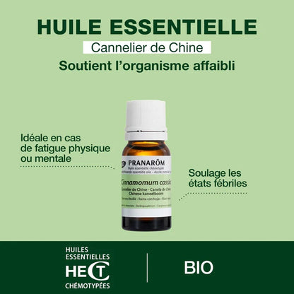 BOUTEILLE D'HUILE ESSENTIELLE DE CANNELIER DE CHINE DE LA MARQUE PRANAROM AVEC SES PROPRIÉTÉS