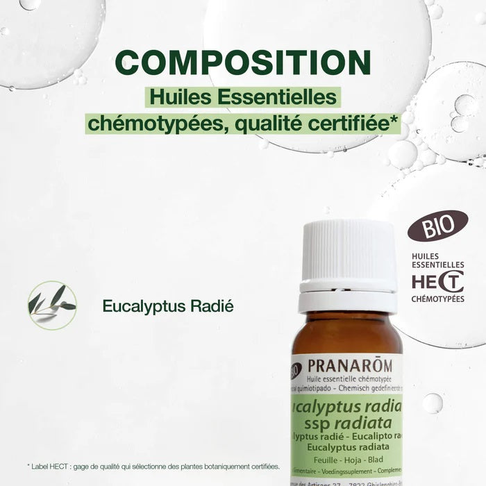 BOUTEILLE D'HUILE ESSENTIELLE D'EUCALYPTUS RADIÉ DE MARQUE PRANAROM AVEC SA COMPOSITION