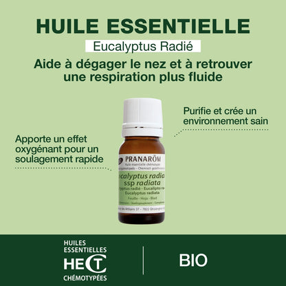 BOUTEILLE D'HUILE ESSENTIELLE D'EUCALYPTUS RADIÉ DE MARQUE PRANAROM AVEC SES PROPRIÉTÉS
