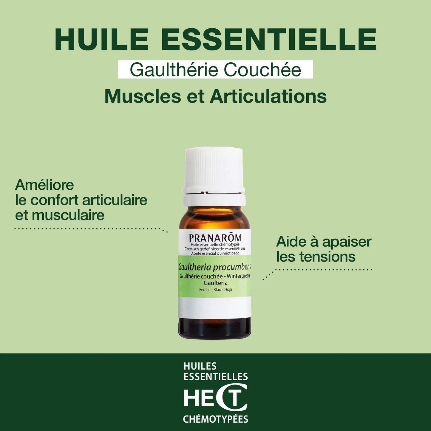 BOUTEILLE D'HUILE ESSENTIELLE DE GAULTHÉRIE COUCHÉE ALIAS THÉ DES BOIS DE LA MARQUE PRANAROM AVEC SES PROPRIÉTÉS