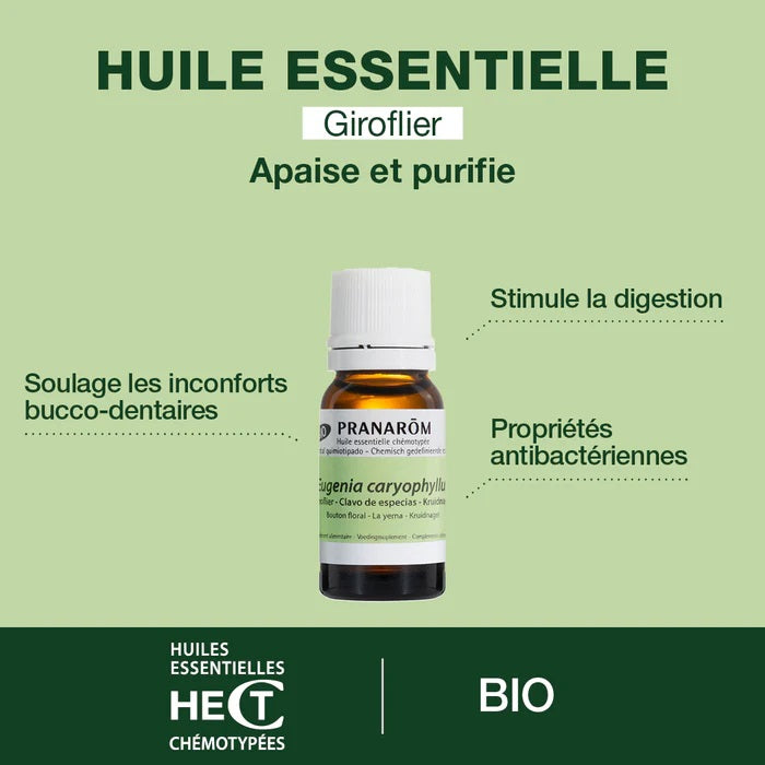 BOUTEILLE D'HUILE ESSENTIELLE DE GIROFLIER (CLOU DE GIROFLE) DE MARQUE PRANAROM AVEC SES PROPRIÉTÉS