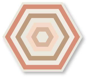 CARREAUX DE CIMENT DE MARQUE HYDROTUILES MODÈLE HEX 2