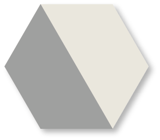 CARREAUX DE CIMENT DE MARQUE HYDROTUILES MODÈLE HEX 8