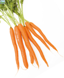 bouquet de carottes