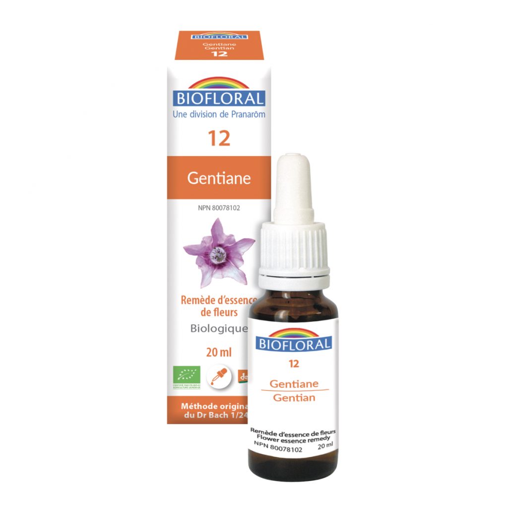 No. 12 Gentiane (Gentian) – Red Point