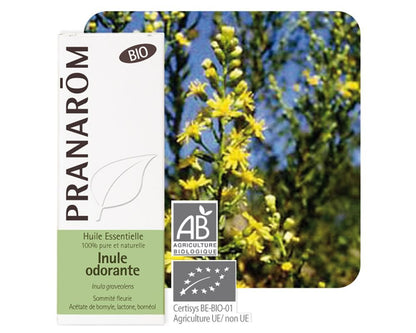 emballage de la bouteille d'huile essentielle Inule odorante - BIO avec plant et fleurs