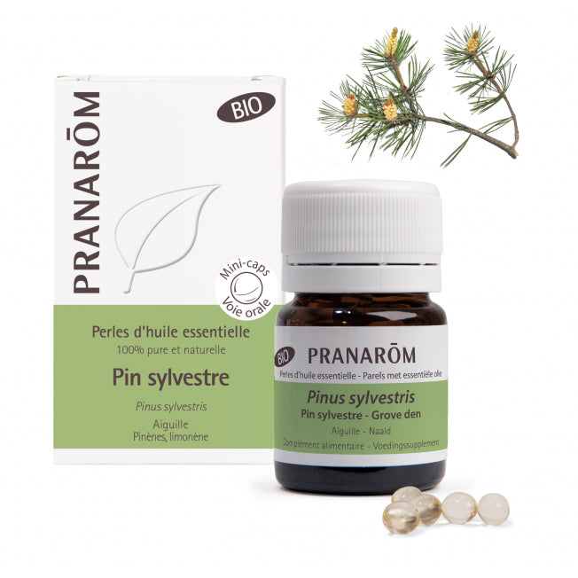 perles d'huile essentielle 100% pure et naturelle de pin sylvestre avec son emballage et la plante
