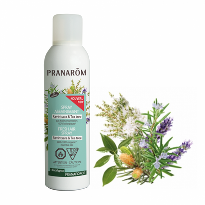 bouteille de spray assainissant Ravintsara - tea tree et eucalyptus